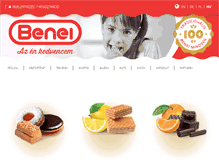 Tablet Screenshot of benei.hu